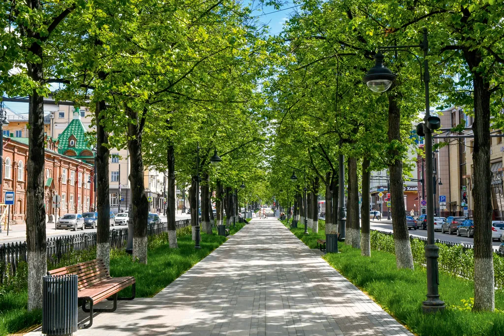 Липовая аллея на Комсомольском проспекте / The Lime Tree Alley in Komsomolsky Avenue