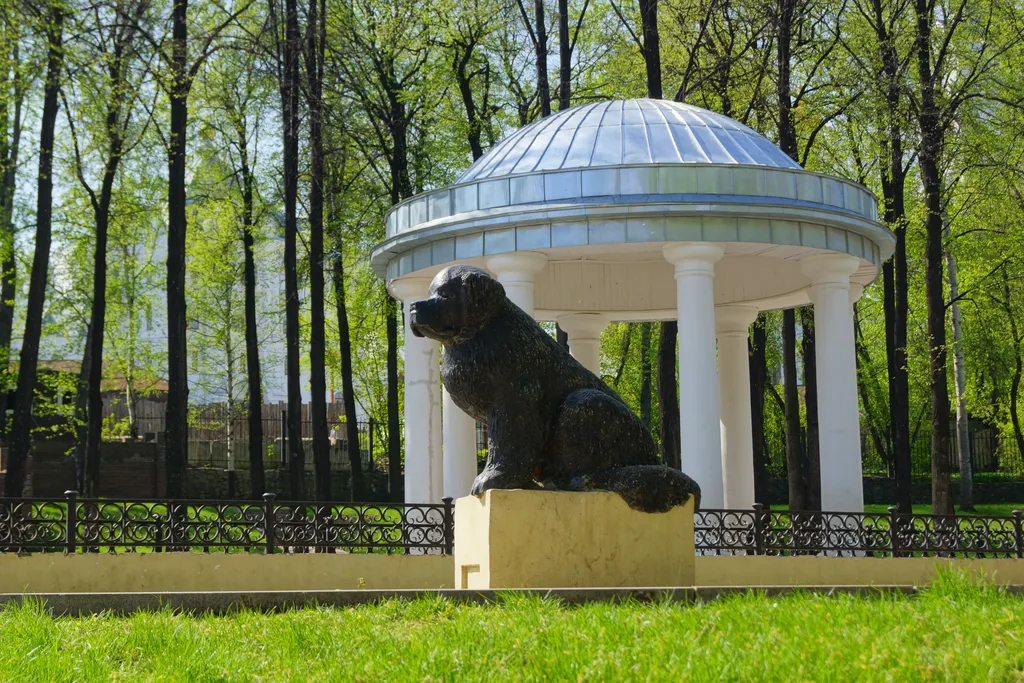 Памятник собаке / The monument to a dog
