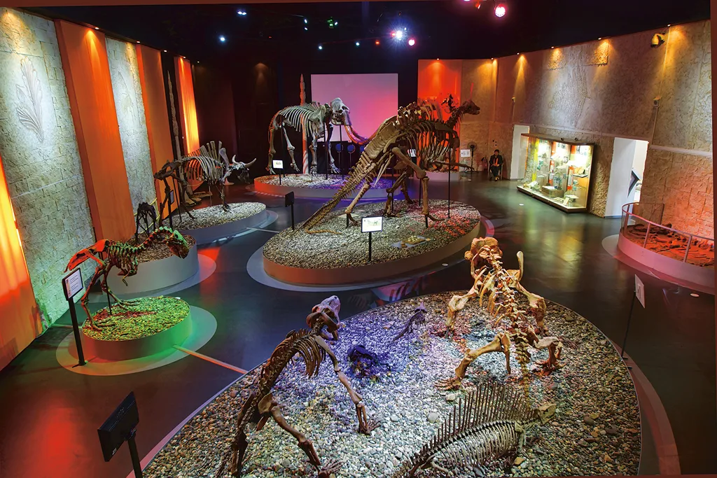 Музей Пермских древностей / Museum of Paleontology